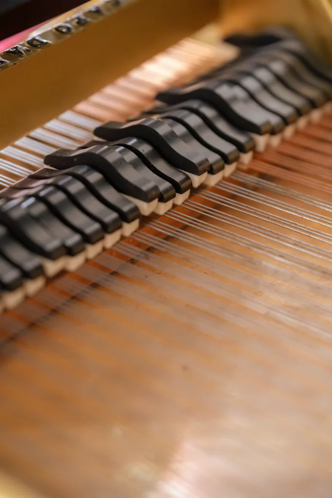 piano strings and dampers
